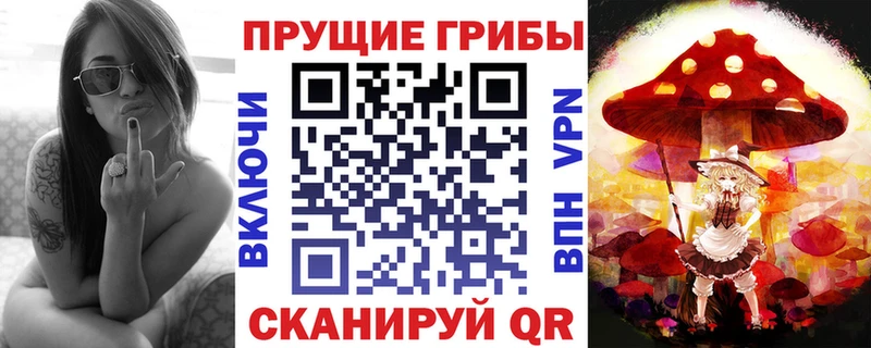 Псилоцибиновые грибы Psilocybe  Купить закладки  Амурск 